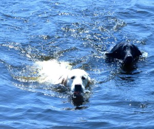 Lara, left, and her sister, Team Sina right.