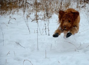 jasmine hunting winter 2015