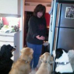 at mike and christine's for movie nite with duke and all our dogs